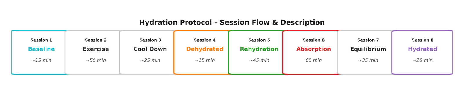 Horizontal flow diagram showing 8 measurement sessions: Baseline (15min), Exercise (50min), Cool Down (25min), Dehydrated (15min), Rehydration (45min), Absorption (60min), Equilibrium (35min), Hydrated (20min).